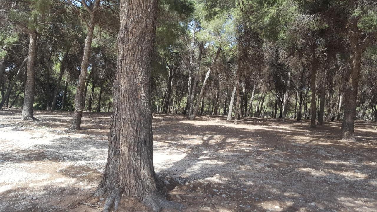 טורמולינוס Semi-Detached Adosado Con Encanto -130 M2 - Wifi 600 Mb - Piscina Comunitaria - Patio Privado מראה חיצוני תמונה
